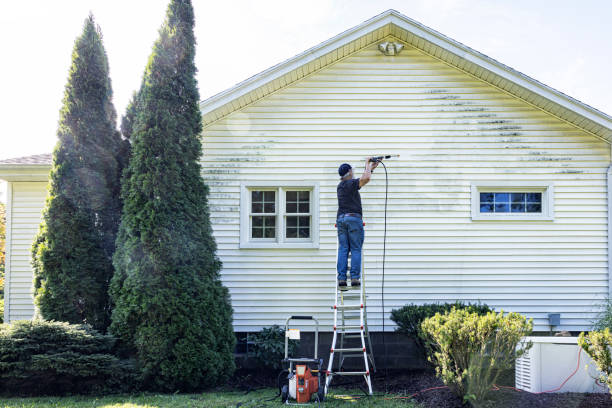 Best Sidewalk and Walkway Pressure Cleaning in Blacksburg, VA