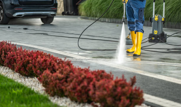 Best Soft Washing for Delicate Surfaces in Blacksburg, VA